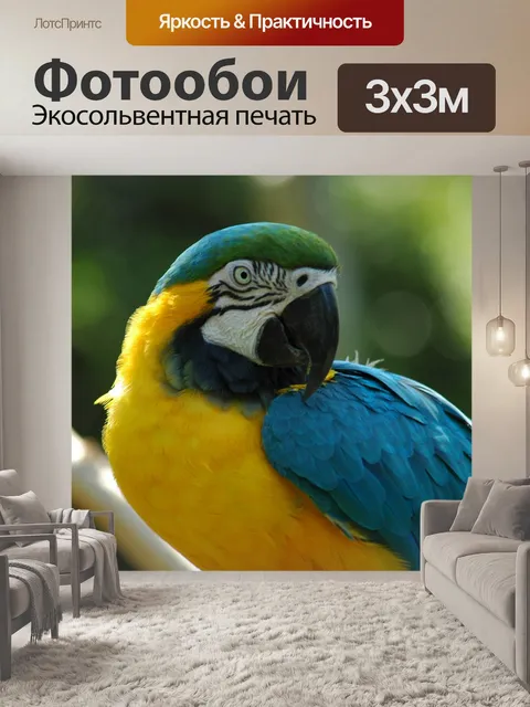 Фотообои Ара