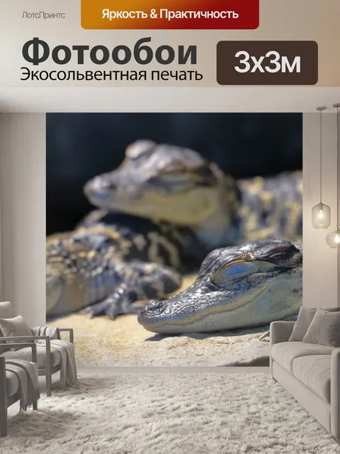 Фотообои Молодые аллигаторы