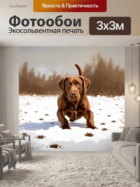 Фотообои лабрадор-ретривер, ползущий по заснеженному полю, оставляя за собой следы на снегу
