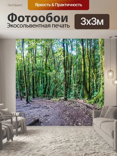 Фотообои Тропический лес в Дои Интанон, Чиангмай