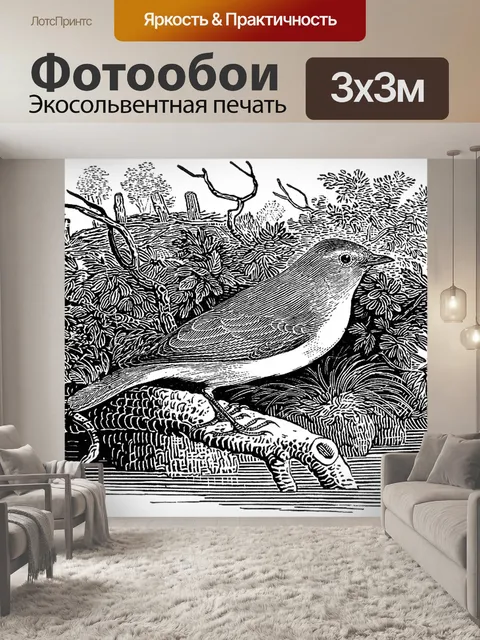 Фотообои Садовая певчая птица