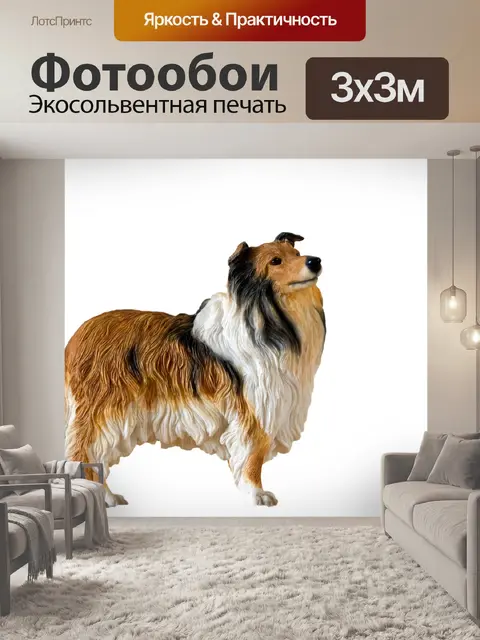 Фотообои Статуэтка собаки колли