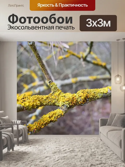Фотообои Час земли