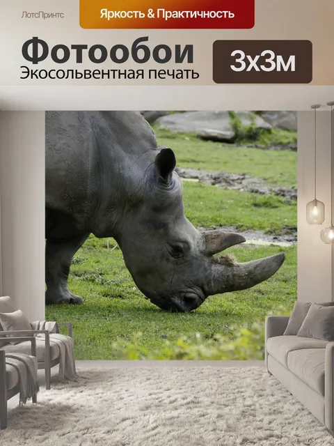 Фотообои Носорог