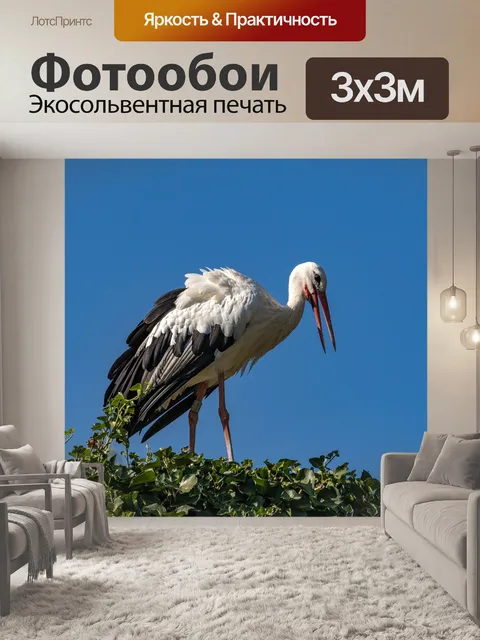 Фотообои Природа