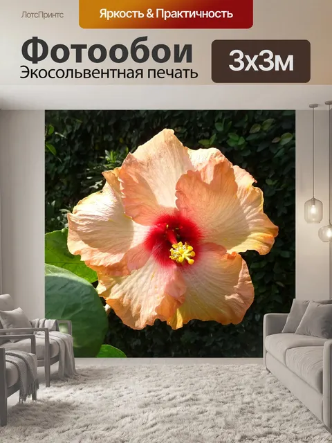 Фотообои Гибискус