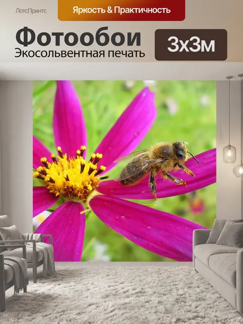 Фотообои Деревня