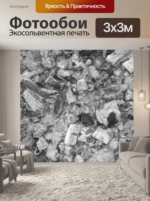 Фотообои Пепел II