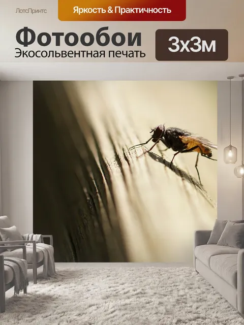 Фотообои Летать