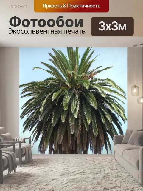 Фотообои Дерево