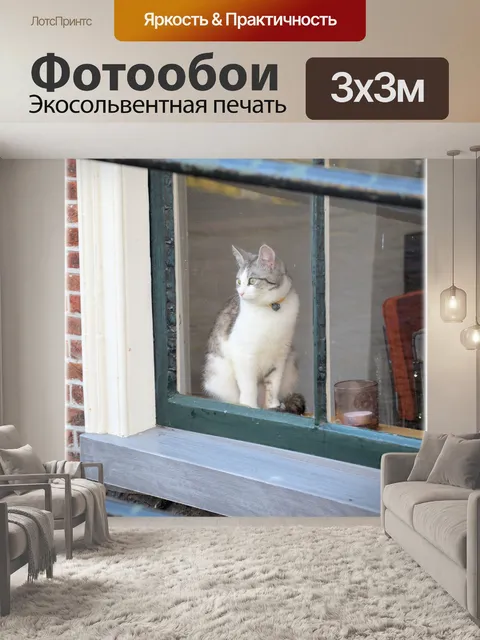 Фотообои За окном