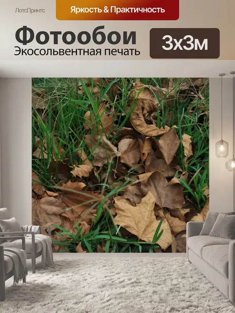 Фотообои Опавшие листья на зеленой лужайке