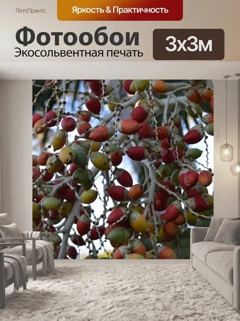 Фотообои Тропический фрукт
