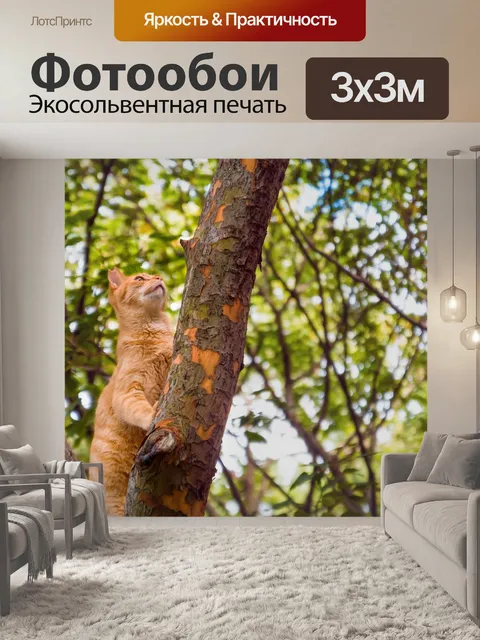 Фотообои Кошка