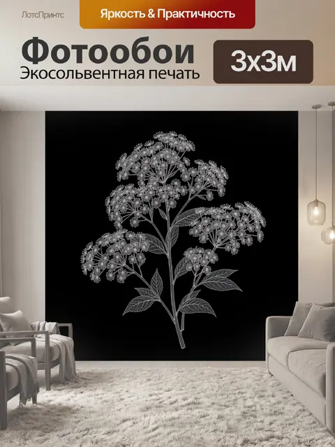 Фотообои Полевой зонтик-соцветия на ветке