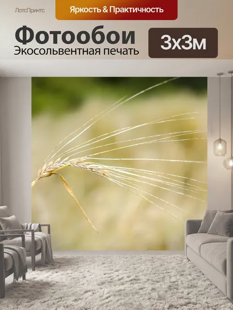 Фотообои Пшеница