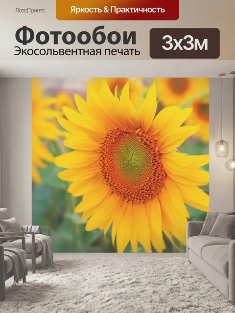 Фотообои Подсолнух осенью цвести цветок
