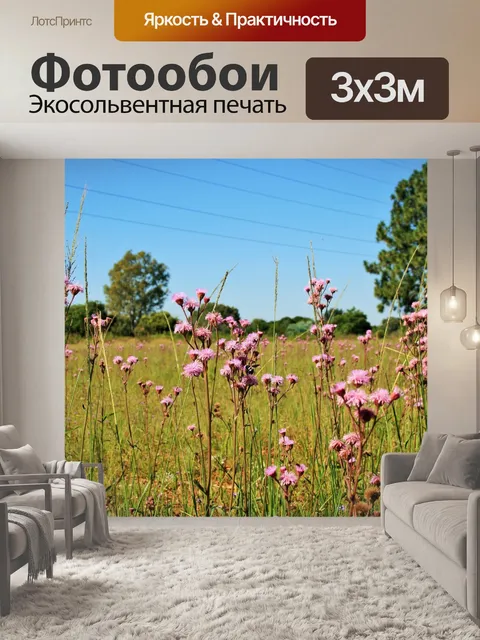 Фотообои Розовый чертополох в степи