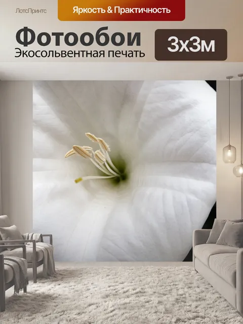 Фотообои Большой белый цветок крупным планом