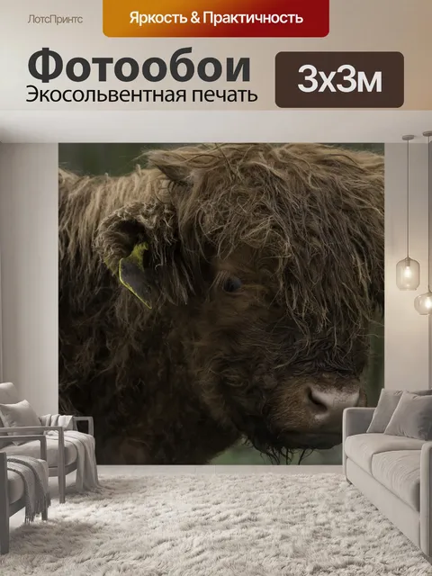 Фотообои Коричневый