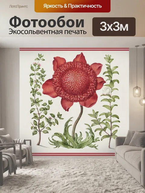 Фотообои Старая иллюстрация 004