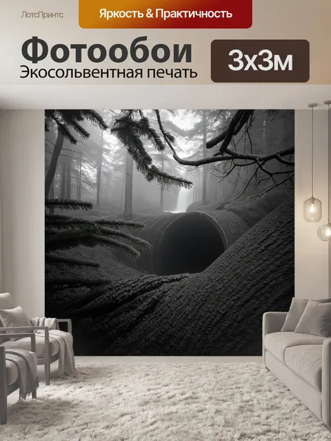 Фотообои густой хвойный лес с ветками, свисающими в туманном утре, создающими арки и туннели из света и тени