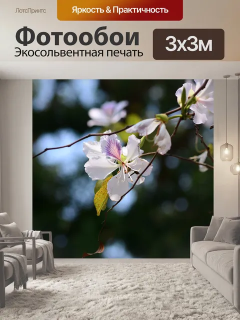 Фотообои Цветы