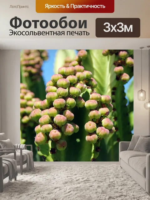Фотообои Канарейки