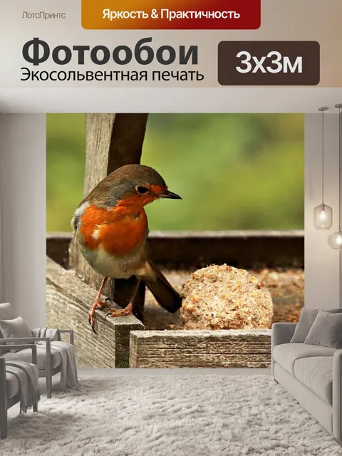 Фотообои Робин