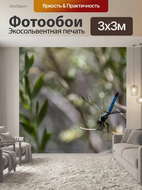 Фотообои Стрекоза