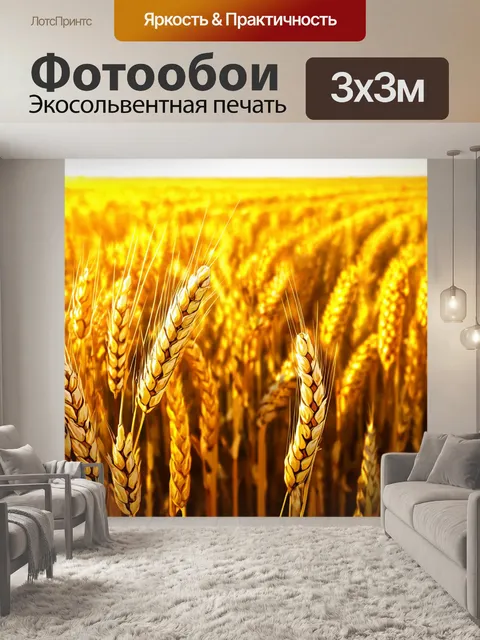 Фотообои поле пшеничных полей, где яркие желтые колосья волнуются под теплым освещением заката
