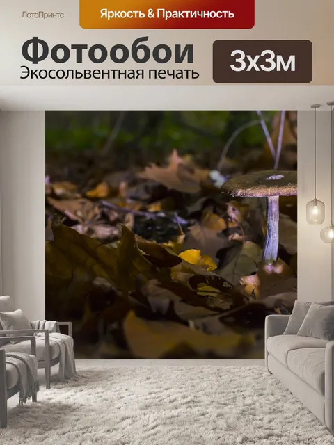 Фотообои Грибы