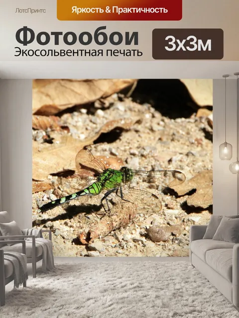 Фотообои Восточный Пондовик Стрекоза 2