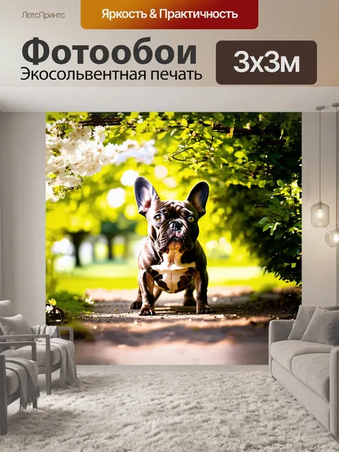 Фотообои симпатичный французский бульдог