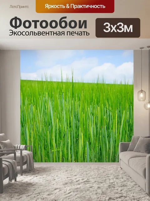 Фотообои Пшеничное поле