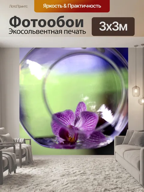 Фотообои Орхидея