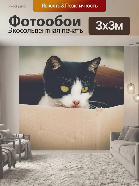 Фотообои Кошка