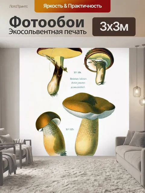 Фотообои Грибы винтаж арт старый