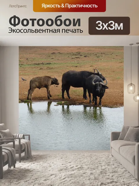 Фотообои Южная африка
