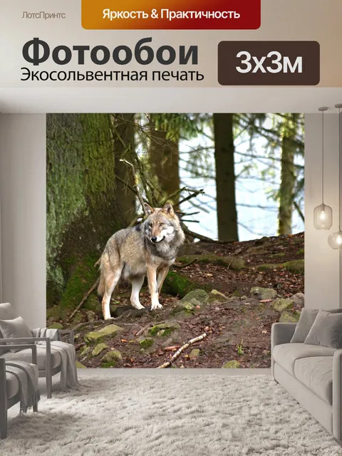 Фотообои Лес