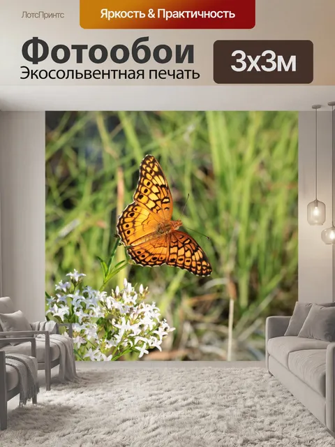 Фотообои Разноцветная бабочка-бабочка 7