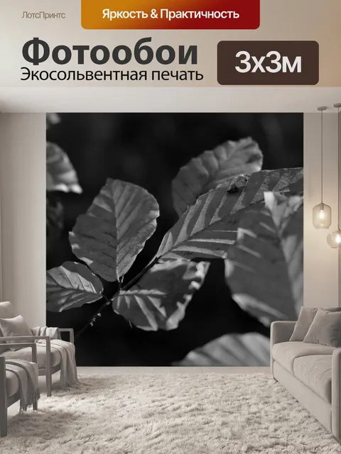 Фотообои Лист