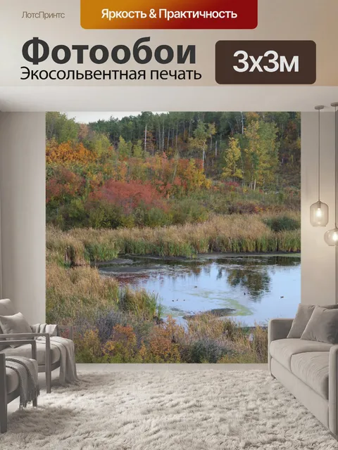 Фотообои Осенние краски на болоте
