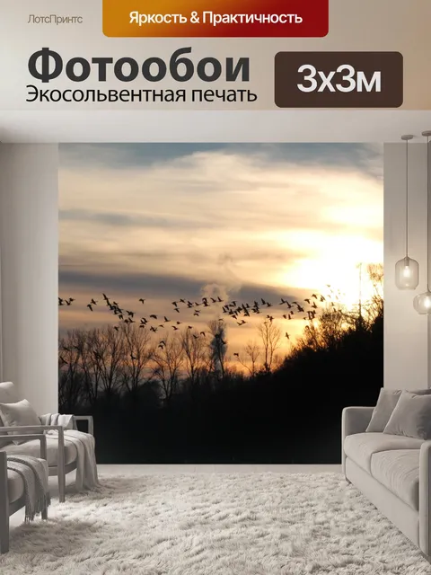 Фотообои Птицы