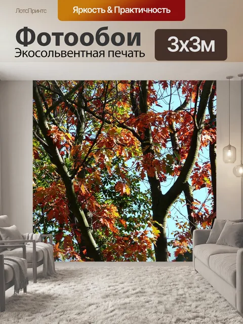 Фотообои Лес