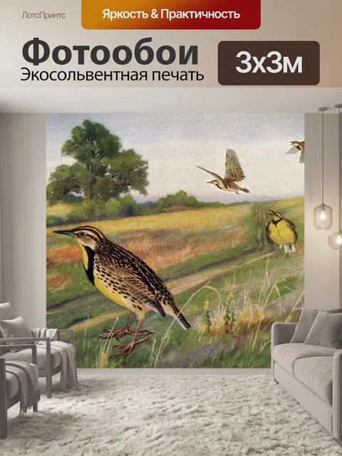 Фотообои Винтажная картина с птицами Meadowlark