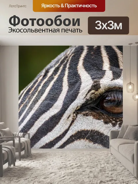 Фотообои Зебра