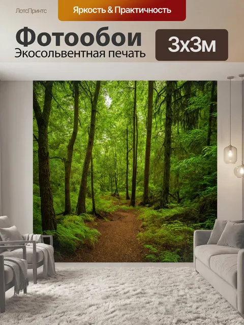 Фотообои лес с живописными пейзажами, запечатленными вечно