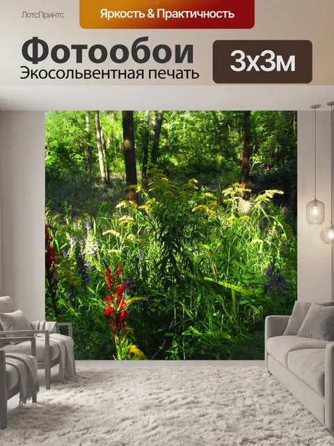 Фотообои Контраст