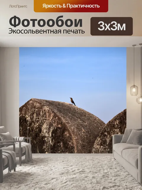 Фотообои Одинокая птица